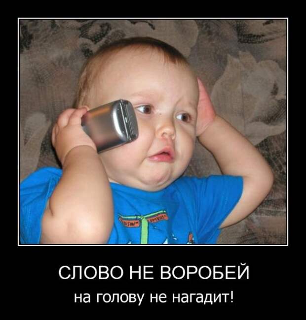 Демотиваторы от 29.09.11