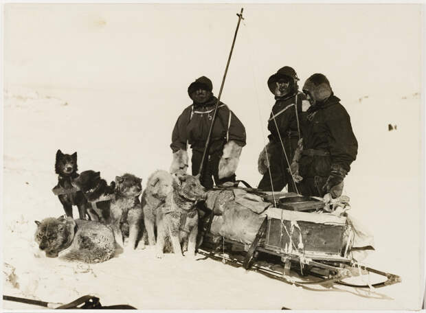 Первая Австралийская антарктическая экспедиция в фотографиях Фрэнка Хёрли 1911-1914 14