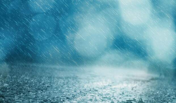 Стало известно, какая погода ждет петрозаводчан в начале недели