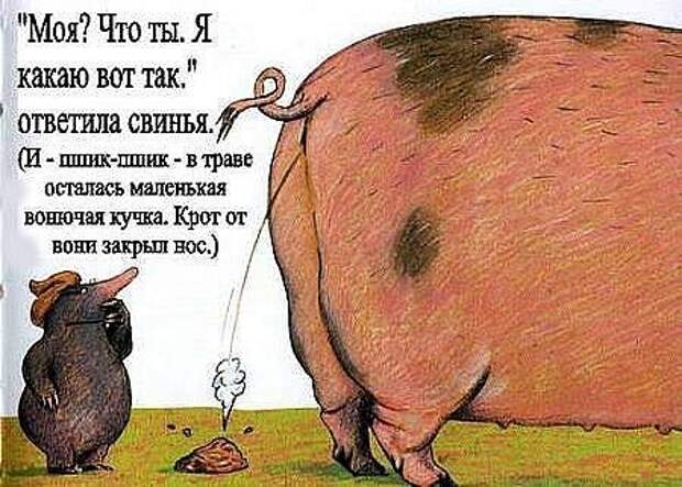 Неприятность с кротом