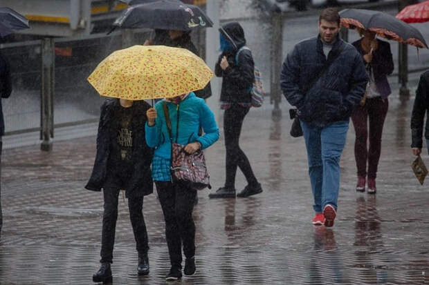 Москва перевыполнила месячную норму осадков в августе