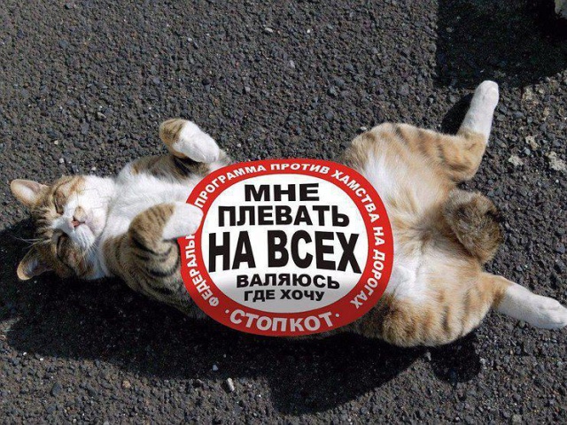 Подборка картинок. Дневной выпуск (20 фото)