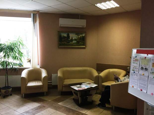 Занятия в центре проводят как со взрослыми, так и с детьми / Фото: tcso-marino.ru