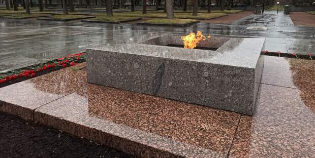 Житель Ленобласти закидал снегом Вечный огонь и попал в отдел полиции