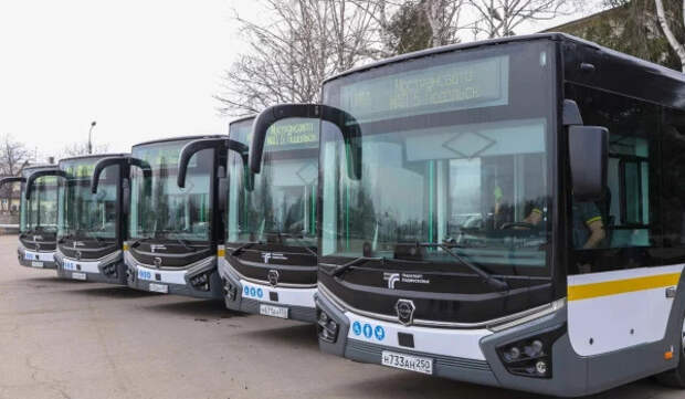 Пассажиры совершили более 3 млн поездок в автобусах Мострансавто в праздничные выходные