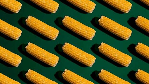 Фото: unsplash.com