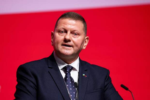 Представитель Залужного прокомментировала данные о его отставке