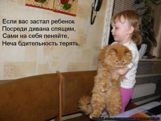 Котоматрицы (картинки с подписями)