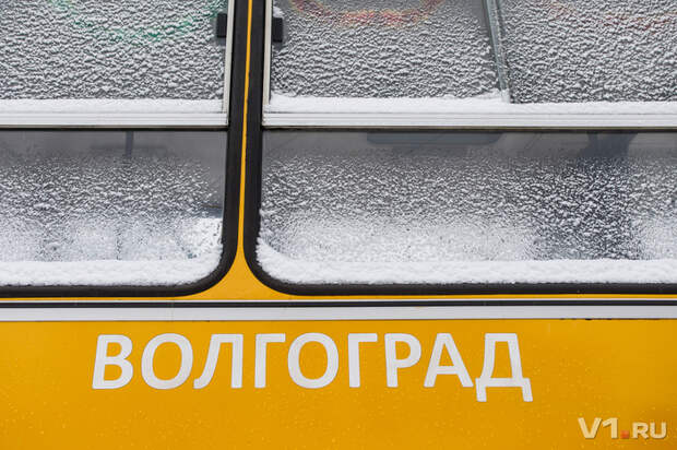 Волгоградец дал вторую жизнь списанному со счетов «Икарусу» автобус, Волгоград, икарус, желтый, транспорт, мечта, мечтатель, длиннопост
