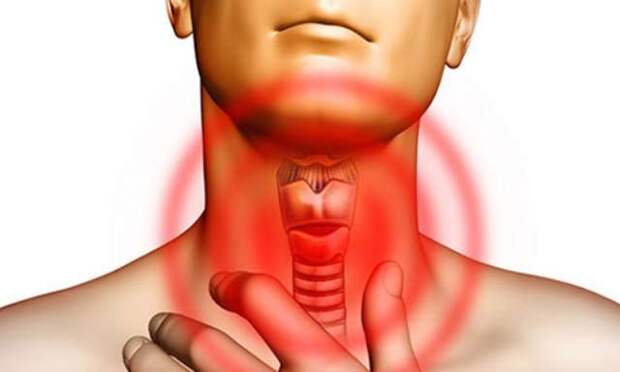 Перезапуск функциональности щитовидной железы и сжигание жира