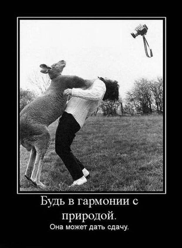 Демотиваторы по русски 1