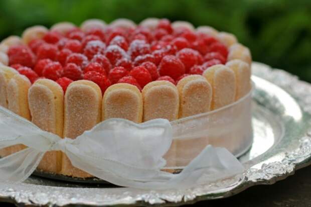 Торт "Малиновая шарлотка  с печеньем "Дамские пальчики" (Raspberry Charlotte)