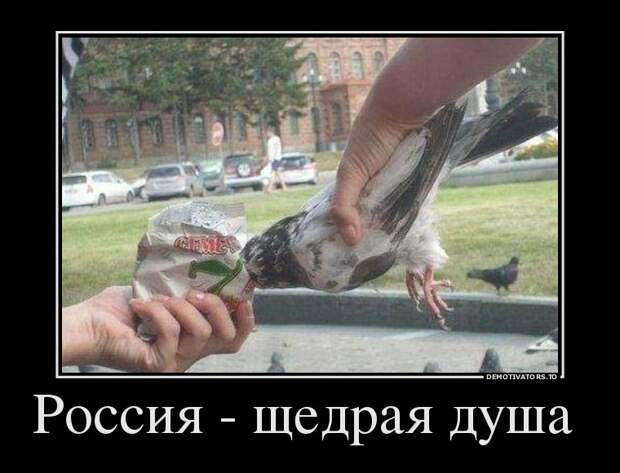 Ржачные и угарные демотиваторы для веселья (10 фото) Ржачные и угарные демотиваторы для веселья (10 фото)