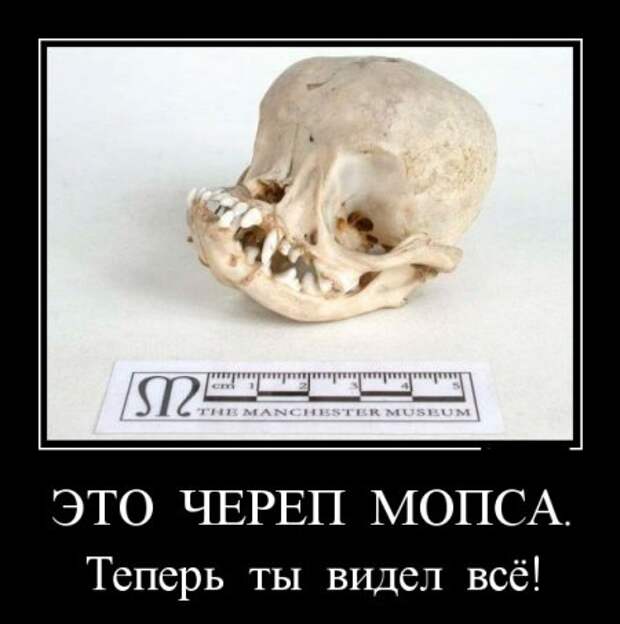 Демотиваторы, "hands made", так сказать..