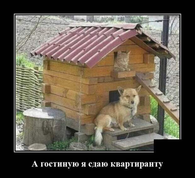demotivatory-demotivator-smeshnye-demotivatory-demotivator-so-smyslom