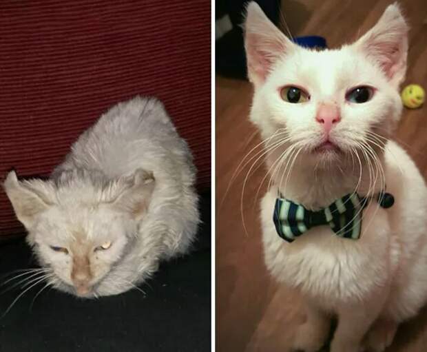 До и после
