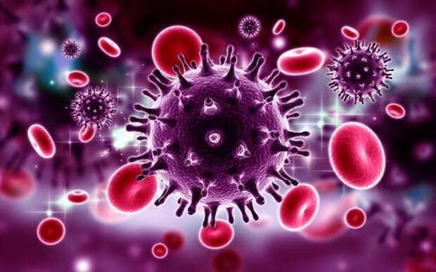 Примерно так выглядит ВИЧ — вирус иммунодефицита человека