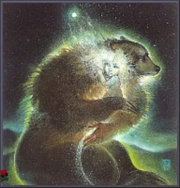 Susan Seddon Boulet 40