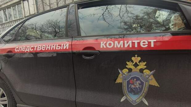 На Алтае возбудили дело после госпитализации 11 детей из реабилитационного центра