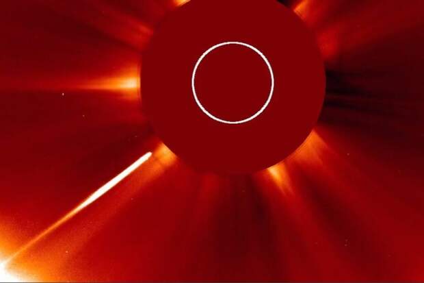 Солнце поглотило самую яркую комету года