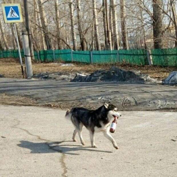 S17 странных фотографий которые вызывают много вопросов