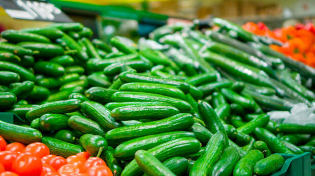 Огурцы подешевели в России: эксперты сравнили цены 2024 и 2025 годов