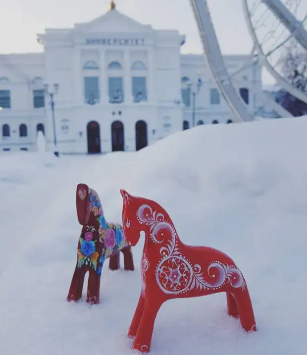Что привезти из Томска: топ-5 гостинцев с сибирским характером