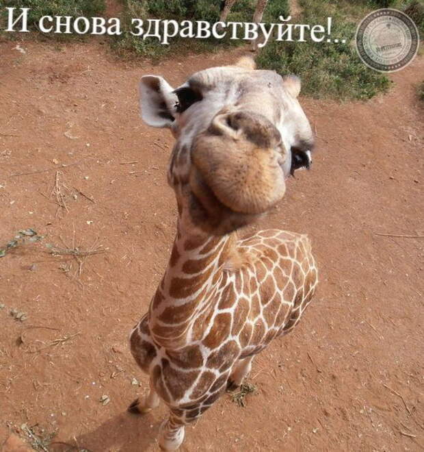 И снова здравствуйте