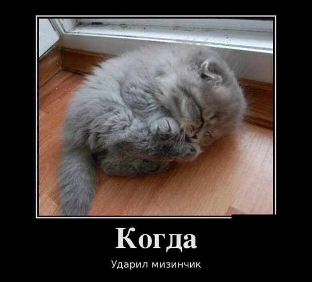 Демотиваторы (30 фото)