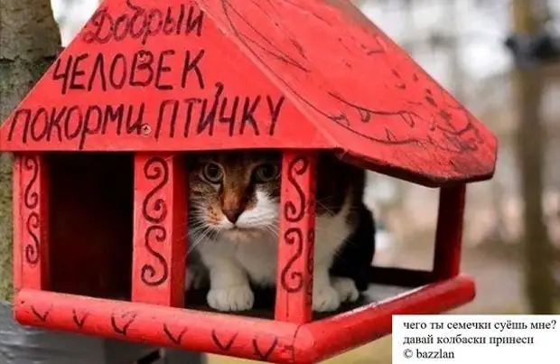 https://r2.mt.ru/r27/photo10A5/20306441655-0/jpg/bp.webp