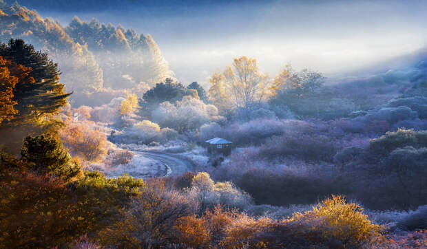 in the autumn dawn valley when the light falls by Sung Hwan Lee on 500px.com