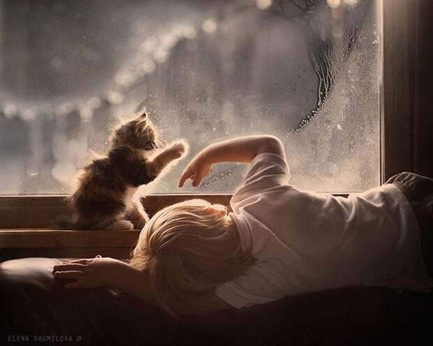 дети и коты, ребёнок и кот, kids with cats