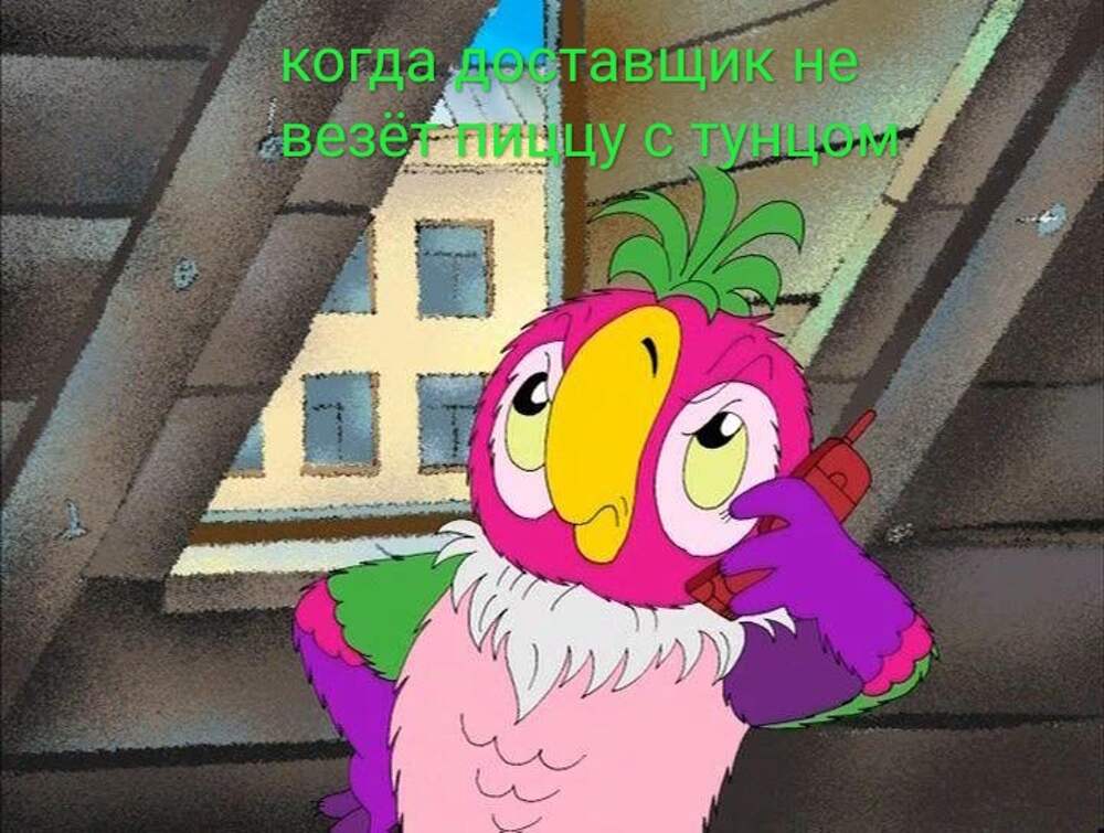 Попугай кеша онлайне