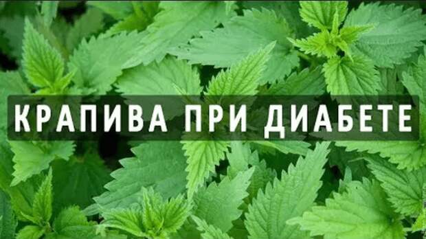 6mHjE1Nf