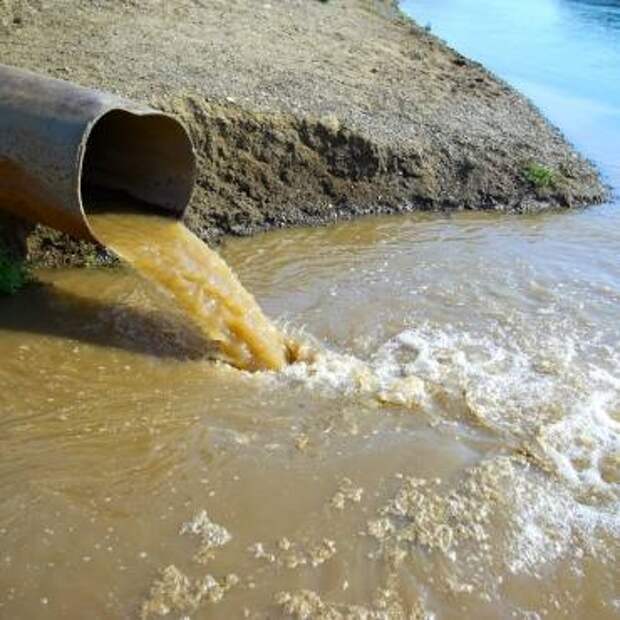 Мурманская ТЭЦ сбрасывала грязные сточные воды в Кольский залив