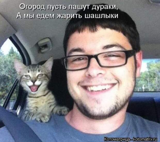 Котоматрицы