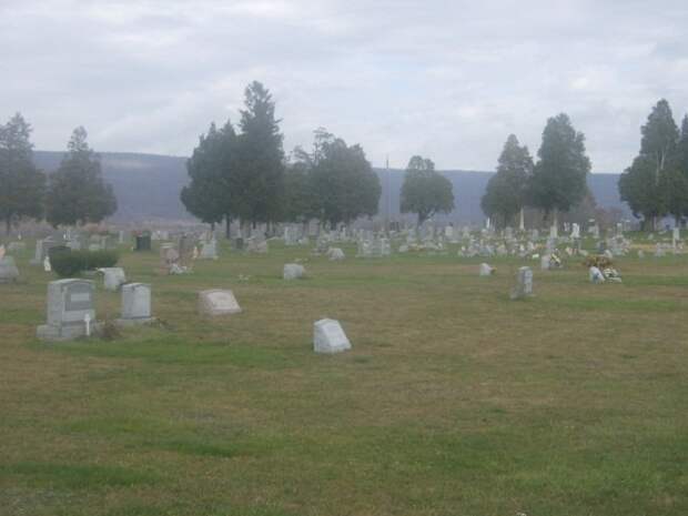 Кладбище Элимспорт, где похоронена Кэсси Фостер.
