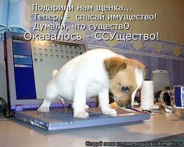 Мысли вслух :) 23 пушистые мыслишки