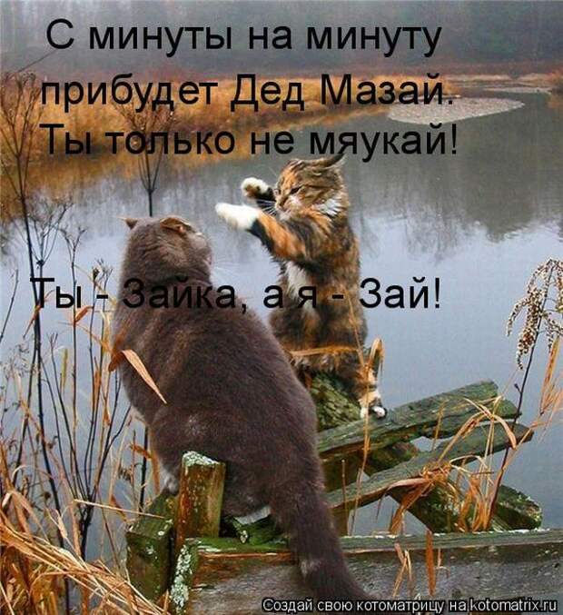 Мысли вслух :)