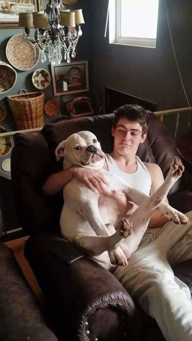 My Little Bro And Our 2-Year-Old Boxer Having An Awkward Moment