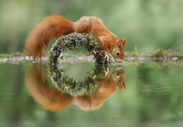   (Julian Rad)      