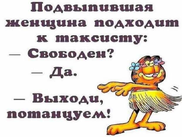 Несколько веселых историй
