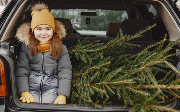 За эти новогодние украшения можно лишиться прав