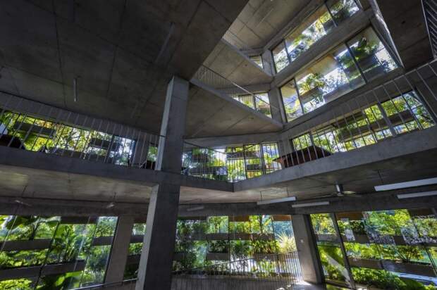 Так выглядит «зеленый» фасад изнутри (Urban Farming Office, Хошимин). | Фото: mrmannoticias.blogspot.com.