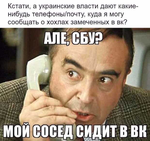 52eeb9e3c499.jpg