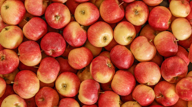 Путин поручил принять меры для недопущения скачков цен на яблоки