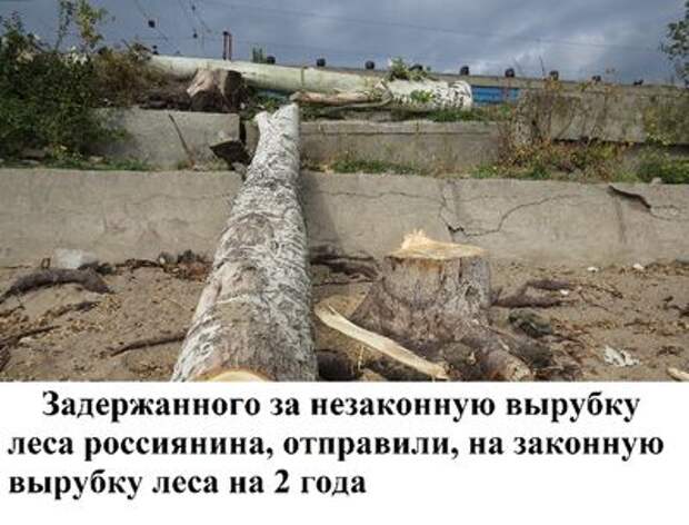 Прикольные и забавные картинки с надписями