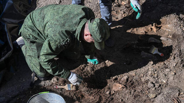 В освобожденных районах ДНР обнаружены останки 74 мирных жителей