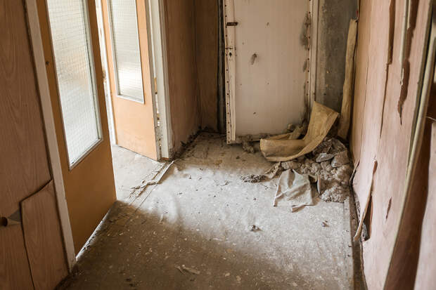 Пенсионерка не смогла вернуть жилье по «схеме Долиной» и разгромила квартиру