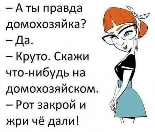 Забавные приколы про домохозяек: женщины поймут